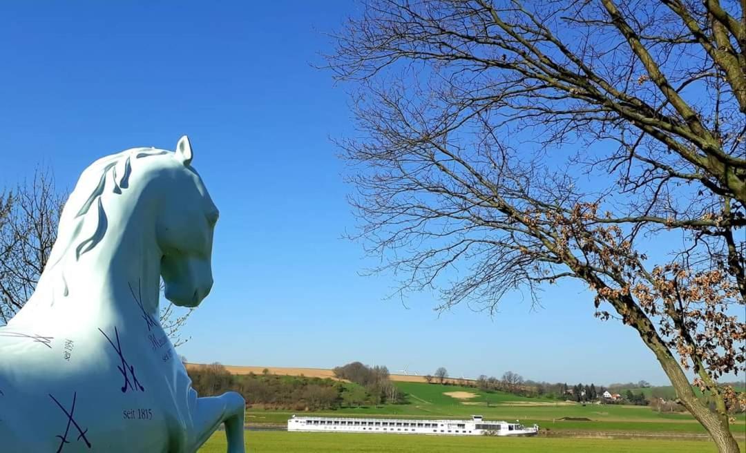 Reiterhof Schmidt, Gaststaette & Pension Golk Eksteriør bilde
