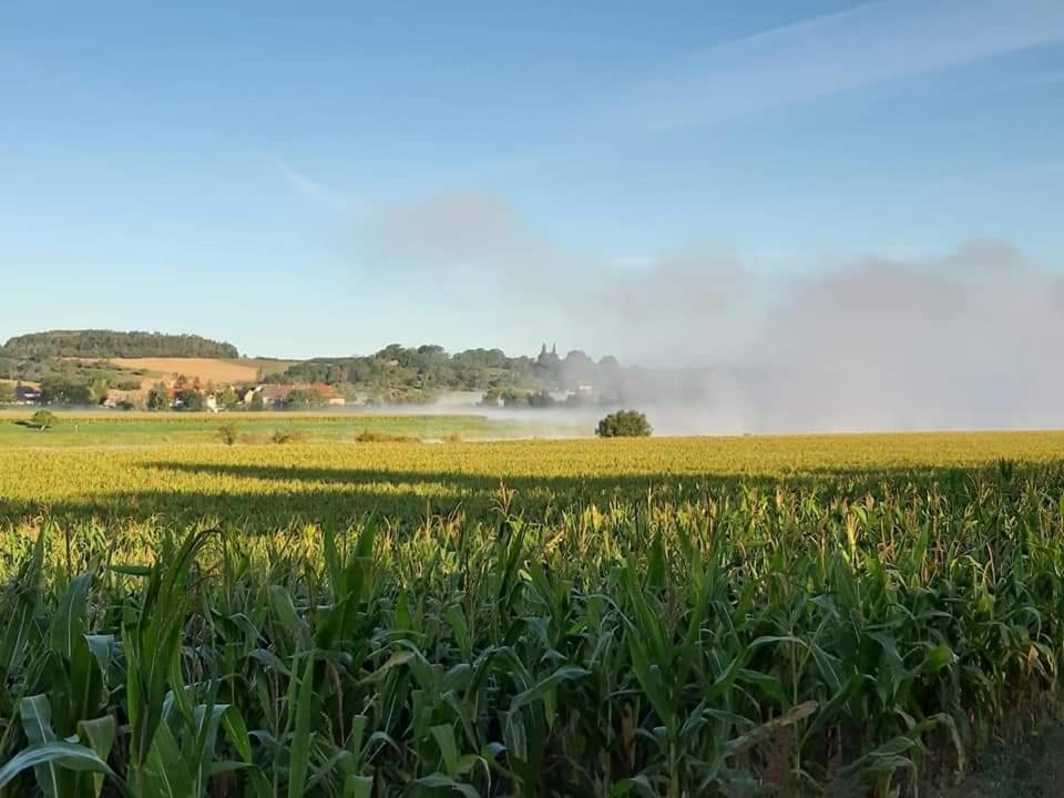 Reiterhof Schmidt, Gaststaette & Pension Golk Eksteriør bilde